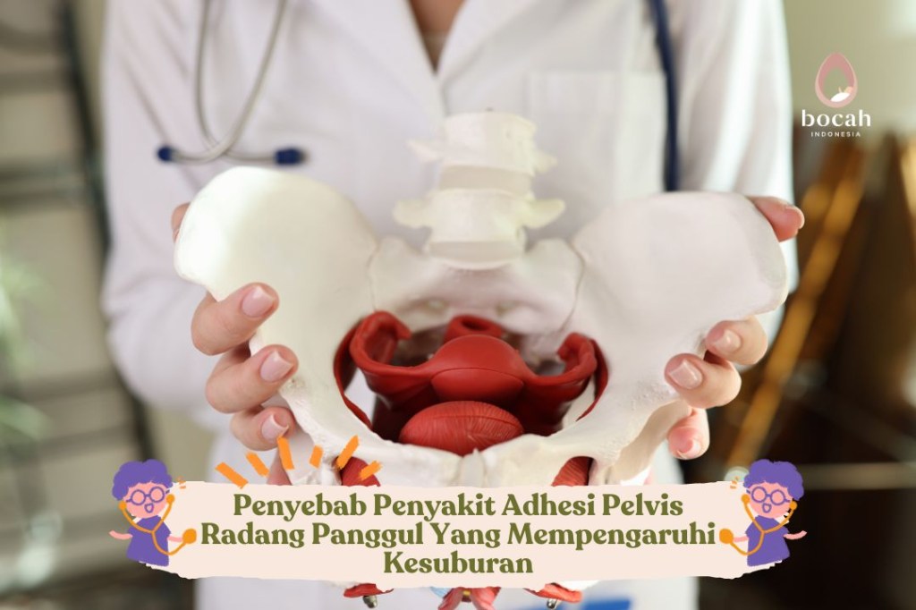 Penyebab Penyakit Adhesi Pelvis Radang Panggul Yang Mempengaruhi&nbsp;Kesuburan