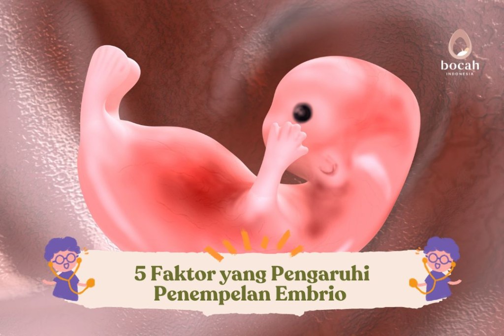 5 Faktor yang Pengaruhi Penempelan&nbsp;Embrio