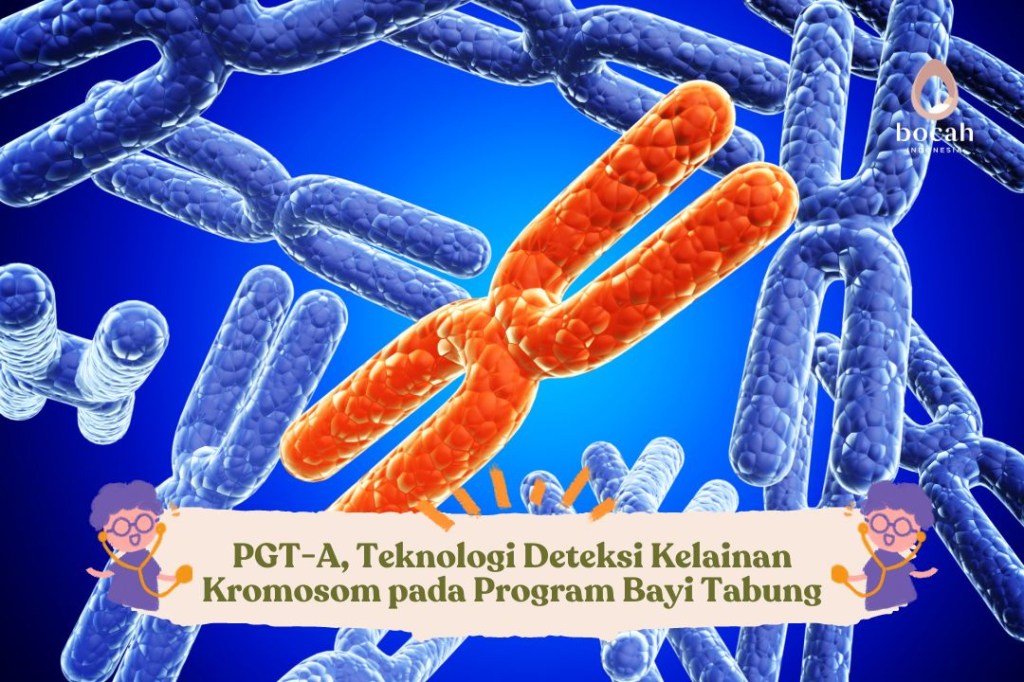 PGT-A, Teknologi Deteksi Kelainan Kromosom pada Program Bayi&nbsp;Tabung